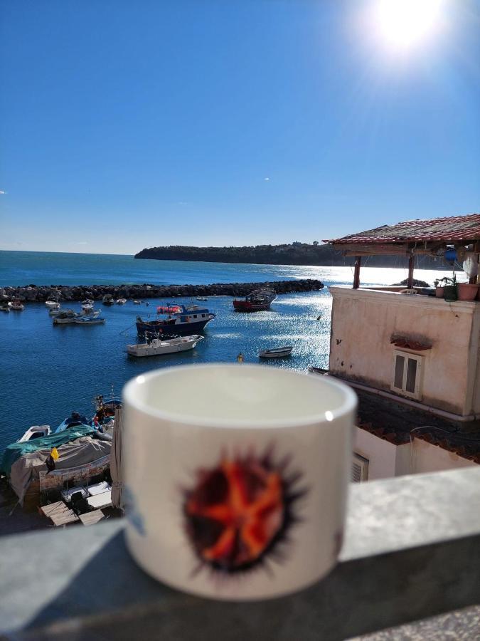 Apartament La Terrazza Di Maria Procida Zewnętrze zdjęcie